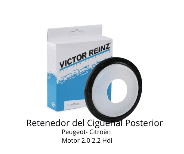 Retenedor del Cigüeñal Posterior Citröen Jumpy 2.0